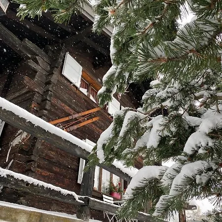 Dağ evi Atypique Colorado *