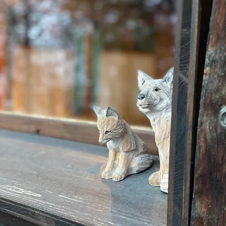 Atypique Colorado Chalet