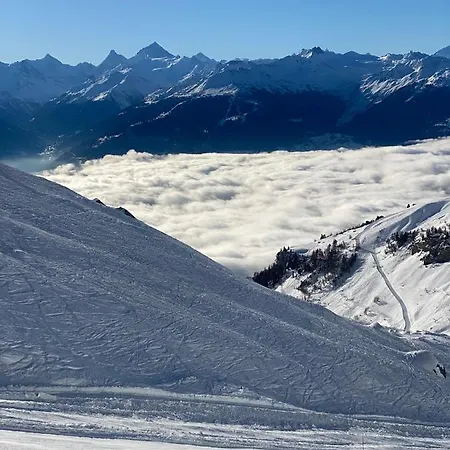 Atypique Colorado Alpehytte *