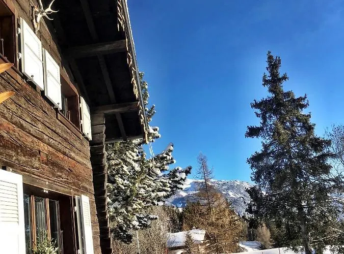 木屋 Atypique Colorado *