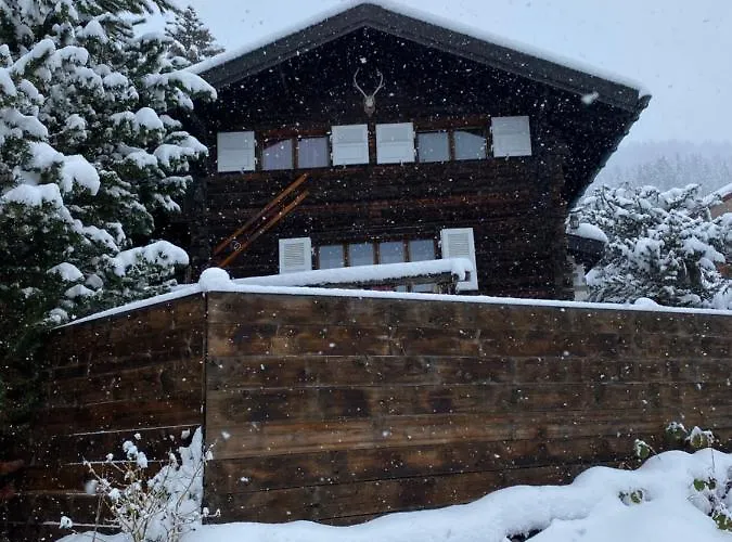 Atypique Colorado 木屋 *