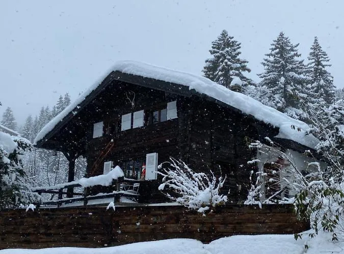 木屋 Atypique Colorado